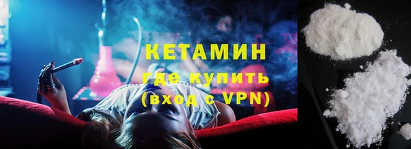 шишки Аркадак