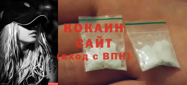 шишки Аркадак