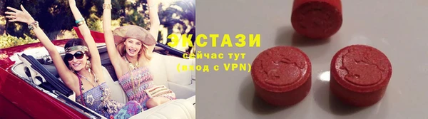 шишки Аркадак