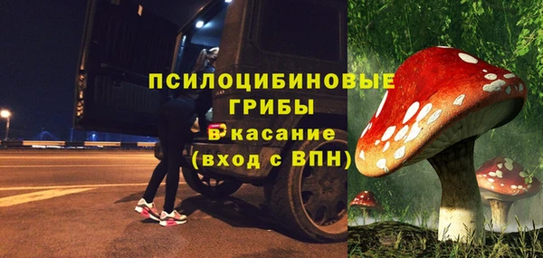 шишки Аркадак