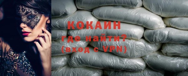 шишки Аркадак